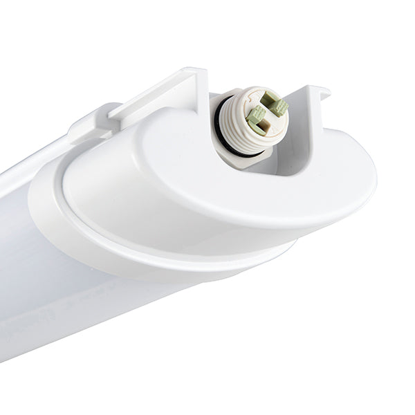 Reeve Connect 4ft IP65 36W daylight white 75532